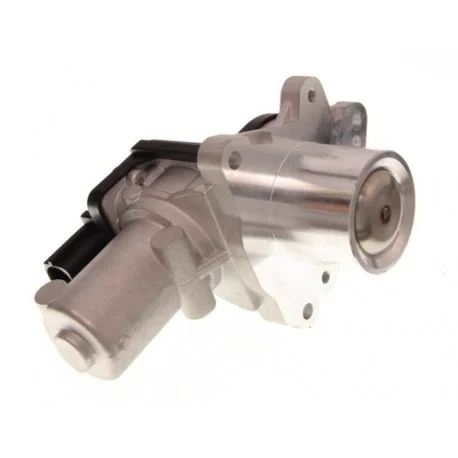 motone-15142288