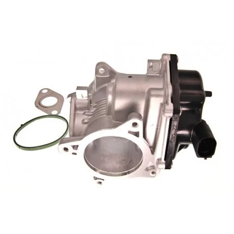 motone-15146441