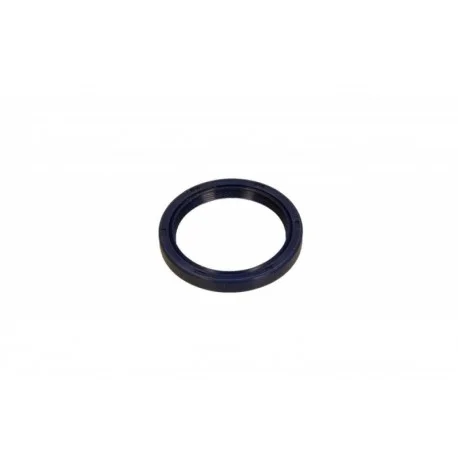 motone-15452078