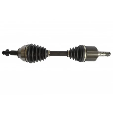 motone-15493650