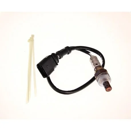 motone-15602254