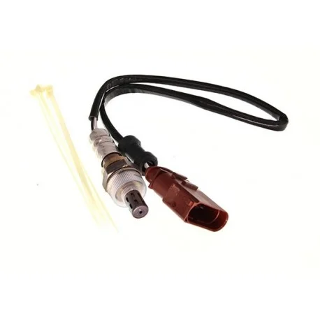 motone-15606650