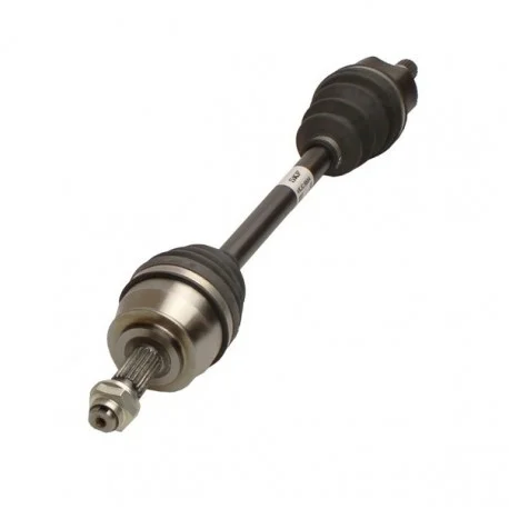 motone-15616960