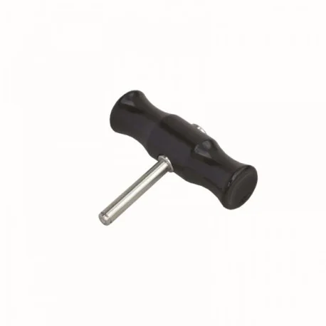 motone-15643012