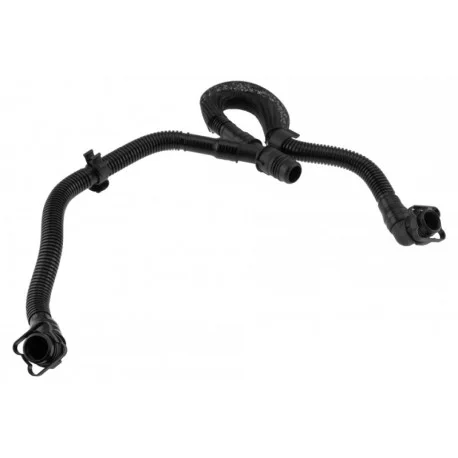 motone-15670620