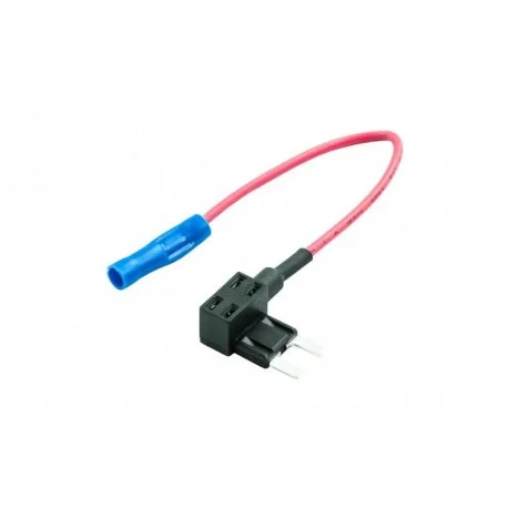 motone-15725115