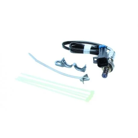 motone-15803655