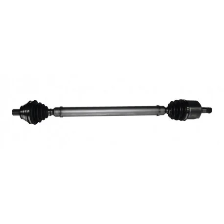motone-15829893