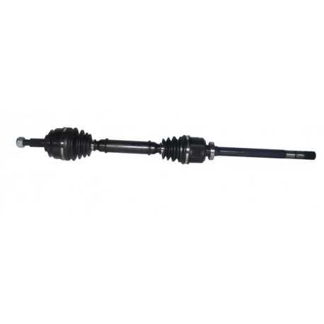 motone-15831786