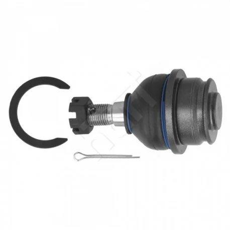 motone-15853435