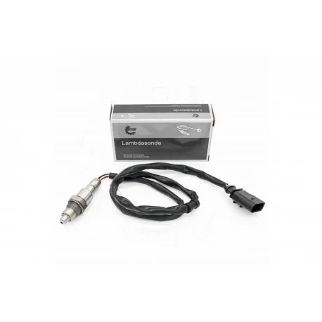 motone-15896215