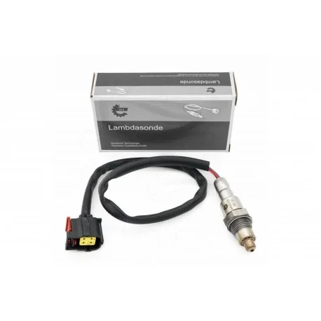 motone-15896310