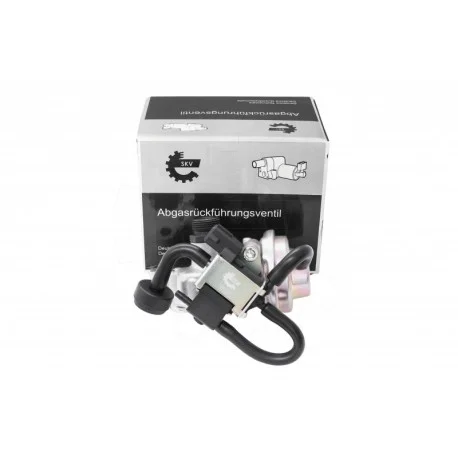 motone-15898065