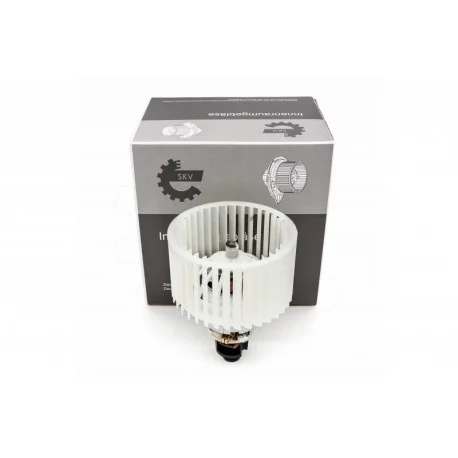 motone-15916267