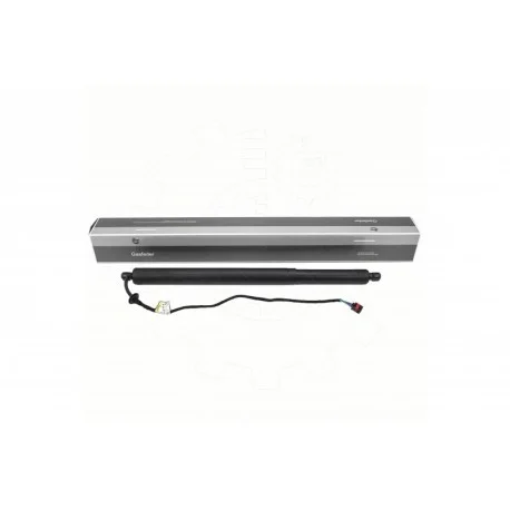 motone-15919427