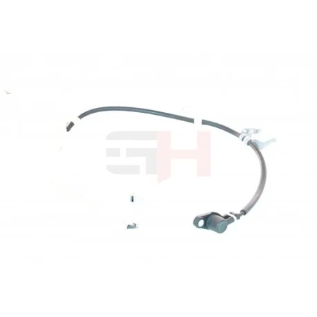 motone-15985804