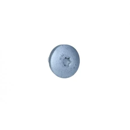 motone-25069001