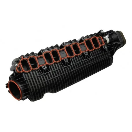 motone-25070842