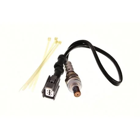 motone-25161846