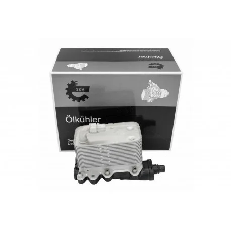 motone-25169966
