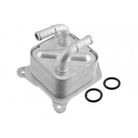 motone-25207279