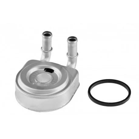 motone-25307638
