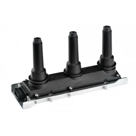 motone-25309381