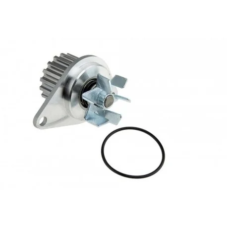 motone-25309694
