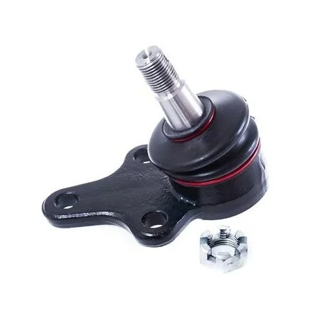 motone-25429179