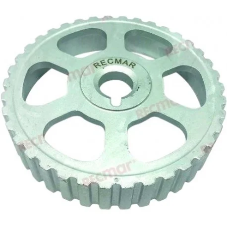 motone-25562794