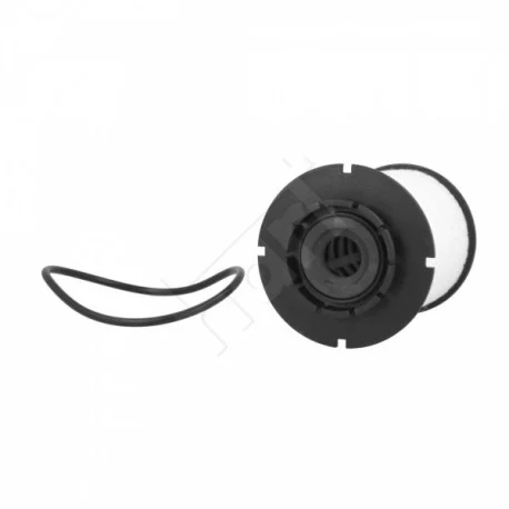 motone-25674419