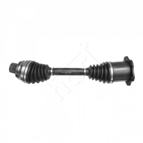 motone-25678254