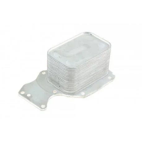 motone-25749503