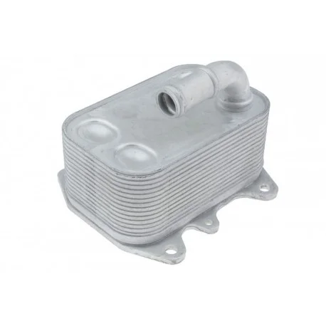 motone-25752346