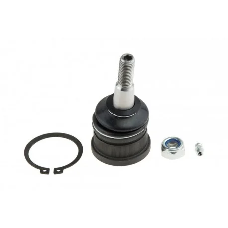 motone-25760094