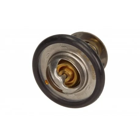 motone-35187929