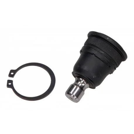 motone-35233219