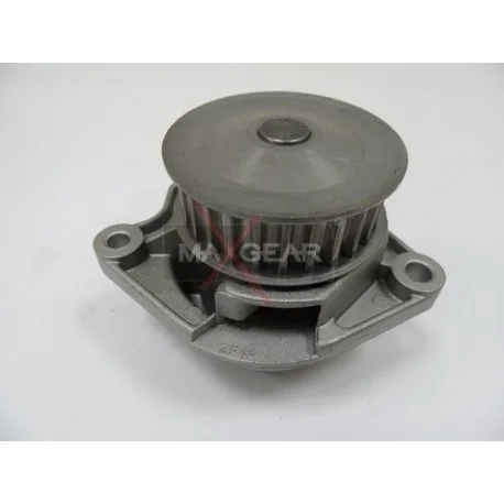 motone-35302280