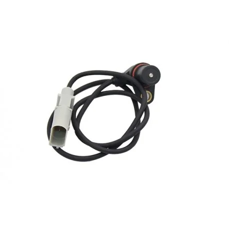 motone-35395134