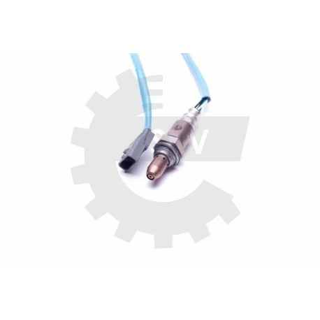 motone-35447789