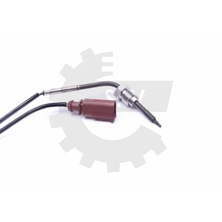 motone-35449530