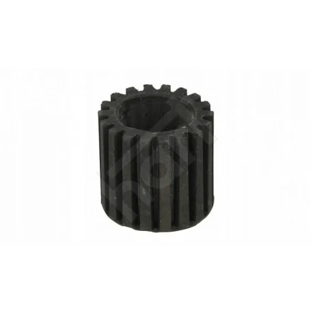 motone-35471321