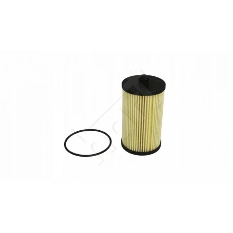 motone-35475595