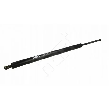 motone-35489252