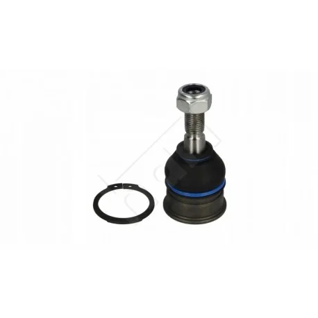 motone-35519163
