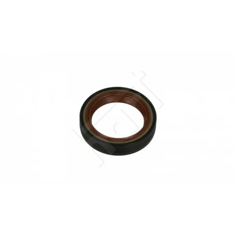 motone-35585987