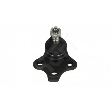 motone-35603699