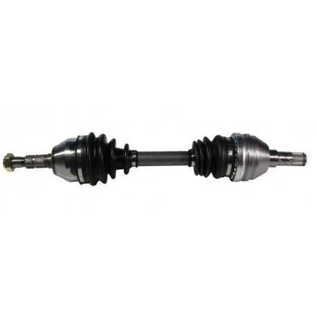 motone-35618271