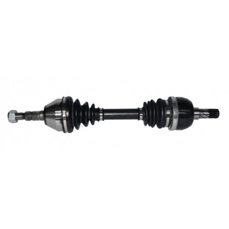 motone-35622784