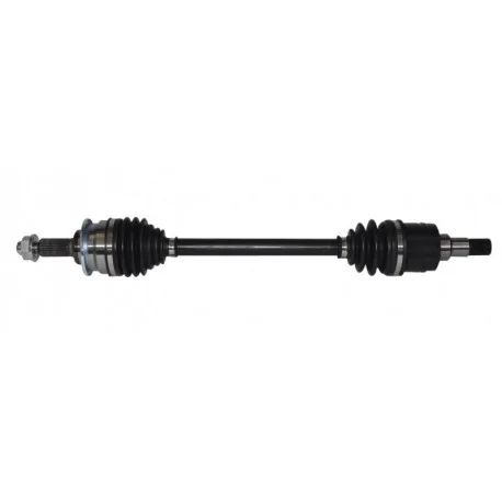 motone-35625213